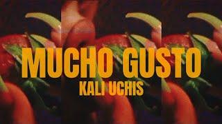 MUCHO GUSTO by Kali Uchis • longer version • (lyrics)