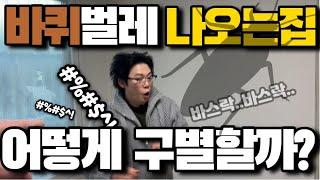 주택이나, 빌라매매 할때 바퀴벌레 있는집 확인! 퇴치 불가능?!  이런 집은 어떻게 구별 해야 할까? #인천