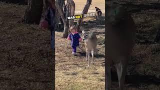 She was cooked by this deer in a shocking way 