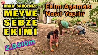 Bahçede Sebze ve Meyve Ekimi 2. Bölüm | Ekim aşaması | Nasıl yapılır, nelere dikkat etmeliyiz?