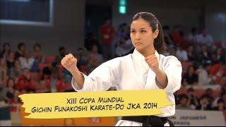 XIII Copa Mundial Gichin Funakoshi Karate-Do JKA 2014