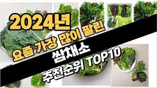 2024년 쌈채소 추천 TOP10 가성비 인기순위 성능 후기 가격비교