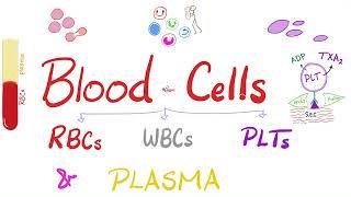 Plasma and Blood Cells (RBCs, WBCs, and Platelets) - Hematology and Physiology