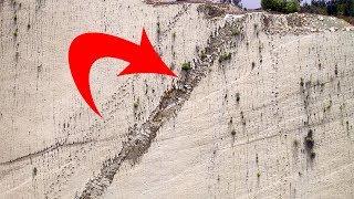 Paleontologists Just Found These Strange Vertical Footprints, And This Is What They Think Made Them