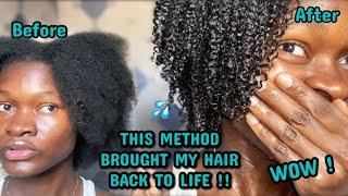 THIS METHOD BROUGHT MY HAIR BACK TO LIFE !| I tried the MAXIMUM HYDRATION METHOD and I’m speechless!