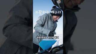 죽었다가 살아나는 송장개구리의 좀비같은 생존력#shorts