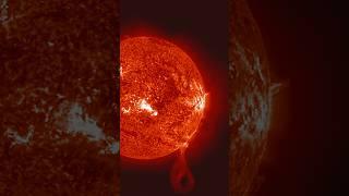 Today's Huge Eruption On The Sun #shorts #science #space #milkyway