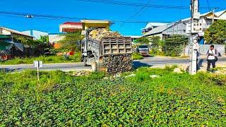 Amazing Powerful Bulldozer Push the stone into the water. Near development area Use Dump Truck 5 Ton