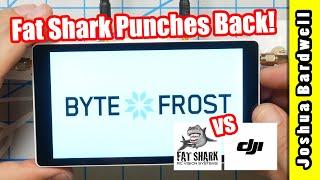 Fat Shark Byte Frost | review, distance test, setup guide, should you buy it?