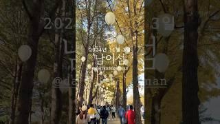 Best Place to visit during autumn season #autumn #namiisland #traveldestinations #southkorea