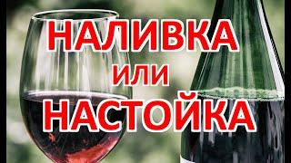 Настойка или наливка. В чем разница?