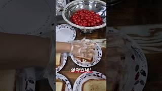 아침기도회 후 브런치 모임 #아침기도회 #브런치 #토스트 #김밥 #토마토 #애플포도 #조찬모임 #세종우리들교회 #세종대성고