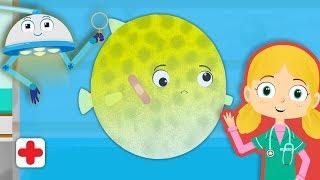 Boris the Puffer Fish Visits Dr Poppy's Pet Rescue | Animal Learning Cartoons For Toddlers