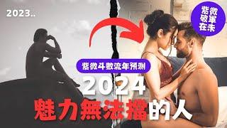 【#紫微流年運勢 2024】羊盤 | 紫微破軍在未宮 | 甲辰年紫微斗數流年運勢