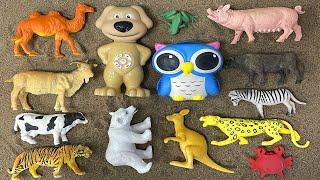 Cleaning a toy tiger, dog, an owl, kangaroo, polar bear, camel, crab, bull, a pig in a stall