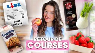 Retour de courses LIDL HEALTHY & PETIT BUDGET + idées repas faciles