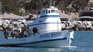 Message From Captain Pica | Reel Fun Dana Wharf Sportfishing