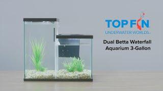 Top Fin 3 Gallon Dual Betta Waterfall #Aquarium Setup | YouTube