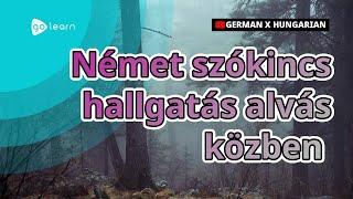 Német szókincs hallgatás alvás közben |Golearn