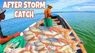 EPIC RED SNAPPER CATCH AFTER TROPICAL STORM RAFAEL #caribbean #fishinginjamaica #hurricane #fishing