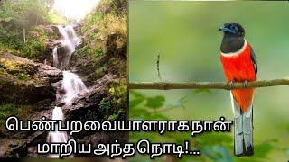 பெண் பறவையாளராக நான் மாறிய அந்த நொடி!…