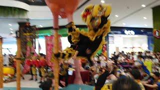 Quayside Mall Acrobatic Lion Dance Championship 2022 - Fall and Rise Again