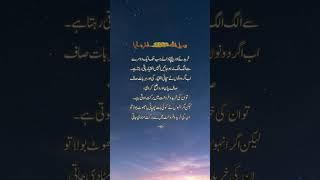 #sea of urdu #urdu stories#short stories#quotes