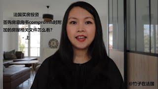 法国买房投资：签购房意向书compromis时附加的房屋相关文件怎么看？- 上