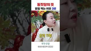 귀신이 좋아하는 날 동짓달의 의미 3편 용군TV 작두신당 #shorts #점집 #무당 #강동구점집 #송파점집 #결혼 #팔자 #운명 #사랑 #행복 #동짓달 #팥죽 #전통 #세시풍속