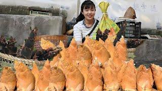 We sold out 1500 catties of small bamboo shoots in 5 hours! The wild bamboo shoots in the mountains