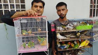 Birds Market Lalukhet Sunday Video Latest Update  21-7-24 in Urdu/Hindi