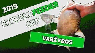 Žvejyba dugnine VARŽYBOS - Kauno Marios Palemonas KARŠIAI. ExtremeFeeder Cup 2019.