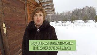 Судебная экспертиза в банкротном деле