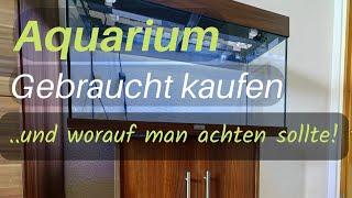 Aquarium Gebraucht kaufen und worauf man achten sollte! #aquaristik