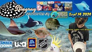 Stingray Saturday LIVE W/ Alex Cardinale: 9/14/2024