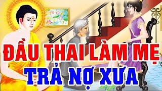 Chuyện Nhân Quả, LUÂN HỒI ĐẦU THAI Chuyển Sinh Làm MẸ CON Trả Nợ Xưa .. ÂN OÁN Tiền Kiếp | RẤT HAY