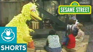 Sesame Street: Guess that Animal with Big Bird