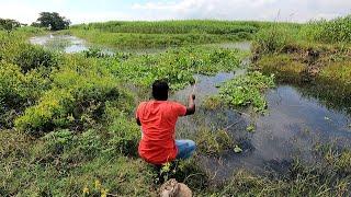 মূলগ্রাম চিকনাই নদীতে দেশীয় মাছ ধরা | River Fishing | 2023