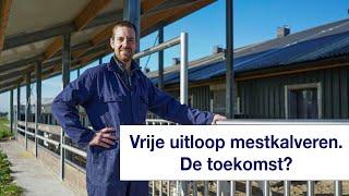 Wordt dit de nieuwe manier van kalveren houden? - Jan Dubbelhuis over zijn proef met vrije uitloop