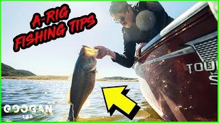 Revealing JON B's SECRET A-RIG Fishing Tips!