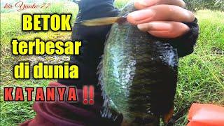 MANCING BETOK MONSTER DI RAWA YANG KETUTUP RUMPUT