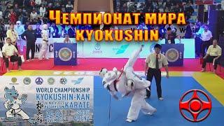 Веселый рассказ о Чемпионате Мира по киокусинкай карате 2023