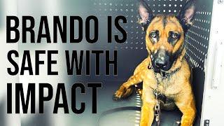 Impact Dog Crates K9 Testimonial - High Anxiety Crate