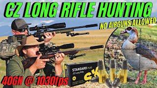 CZ LONG RIFLE HUNTING I NO AIR GUN ALLOWED I RIMFIRE PEST CONTROL