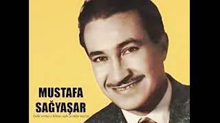 Mustafa Sağyaşar ~ Güle sorma o bilmez aşkı sevdâyı neş’eyi