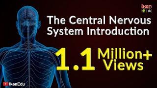 The Central Nervous System- Introduction | iKen | iKen Edu | iKen App