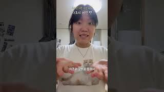나초가 사람이름이라고? | 유튜버 되기 프로젝트 72일차