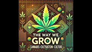 The Way We Grow, episode 13, with Liam Spenser: Cultivation Insights: Navigating a Cannabis Career.