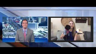 Keeping your pets safe on the 4th of July