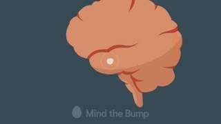 Mindfulness And How The Brain Works